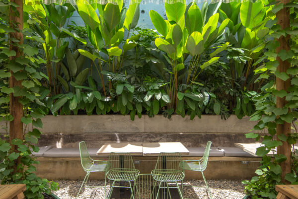 Jardín Central