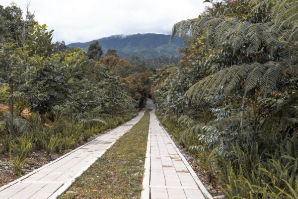 Mirador de la represa