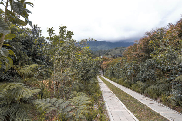 Mirador de la represa