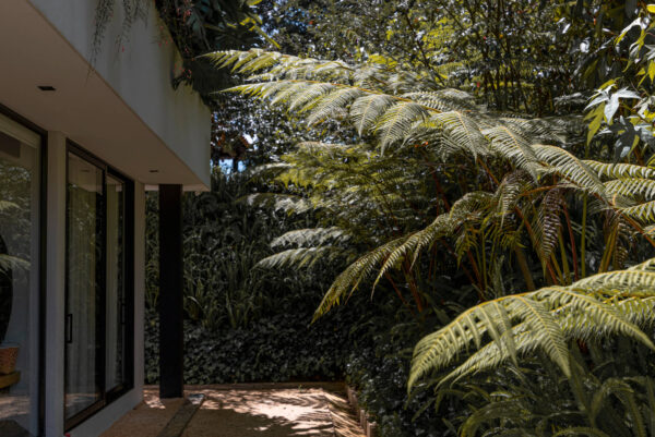 Finca RD