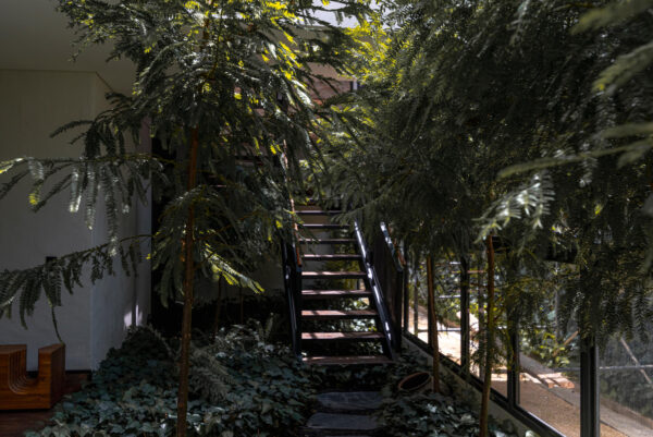 Finca RD