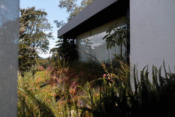 Finca RD