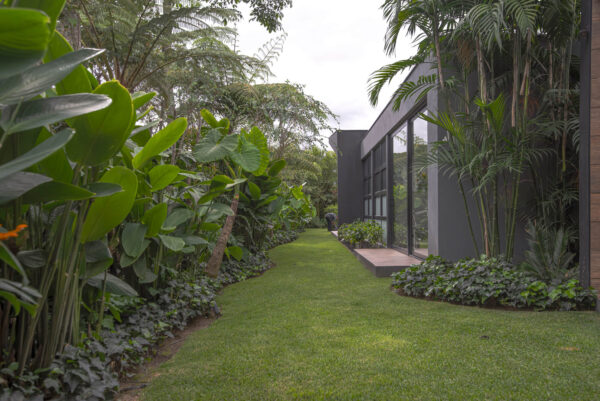 Casa D8