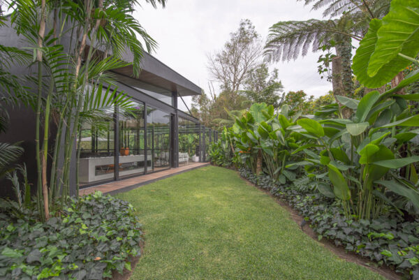 Casa D8