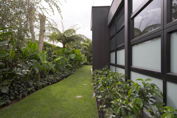 Casa D8